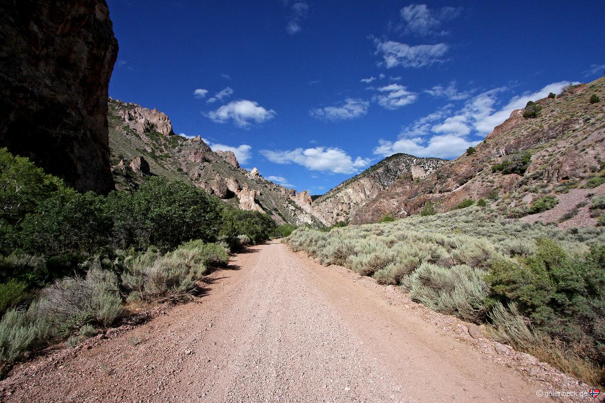 Deer Creek Road