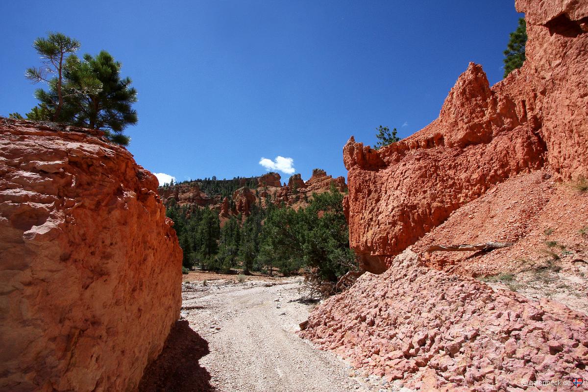 Casto Canyon