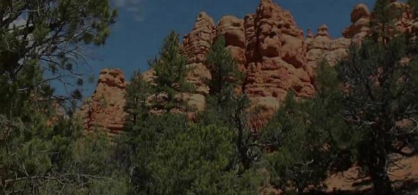 casto canyon