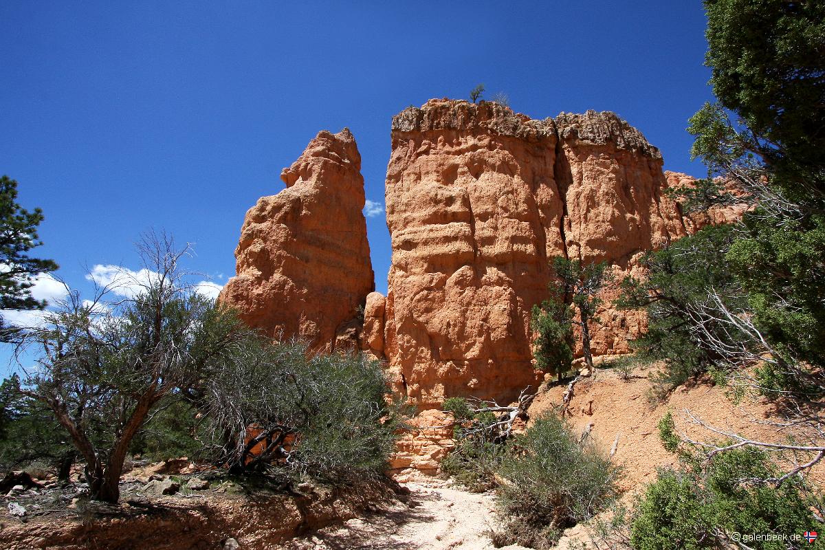 Losee Canyon
