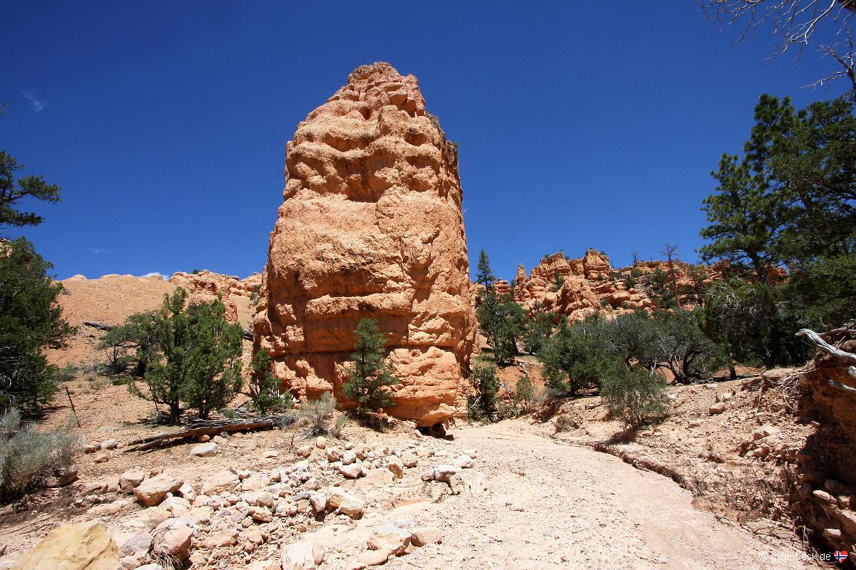 Losee Canyon