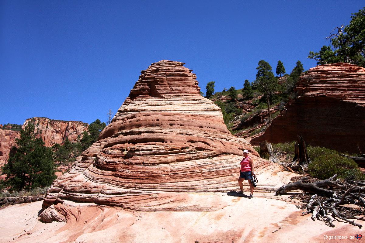 Kolob Terrace