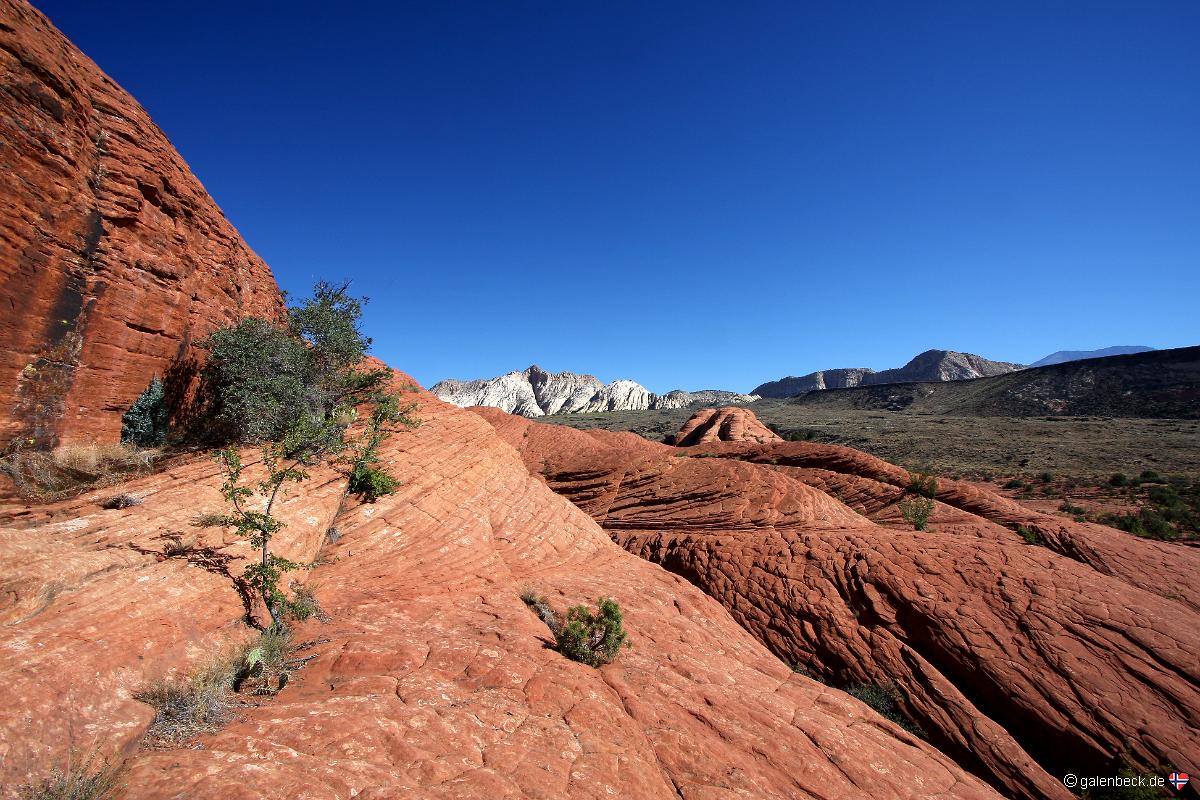 Snow Canyon State Park