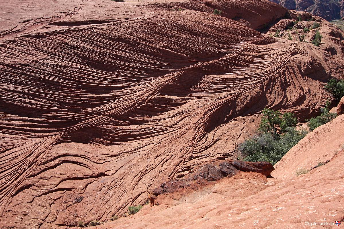 Snow Canyon State Park