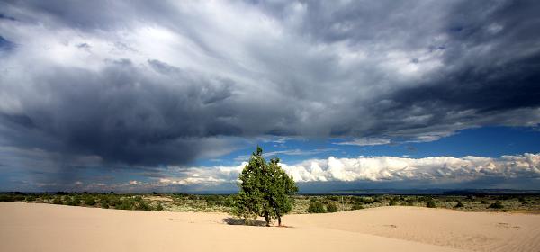Saint Anthony Sand Dunes