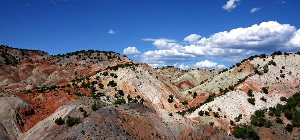Glenwood Hills