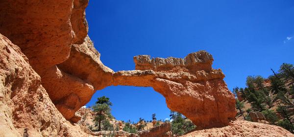 Losee Canyon