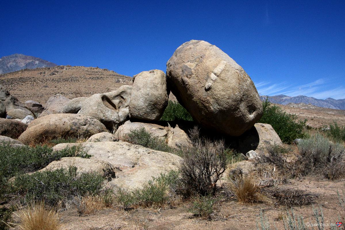 Buttermilks