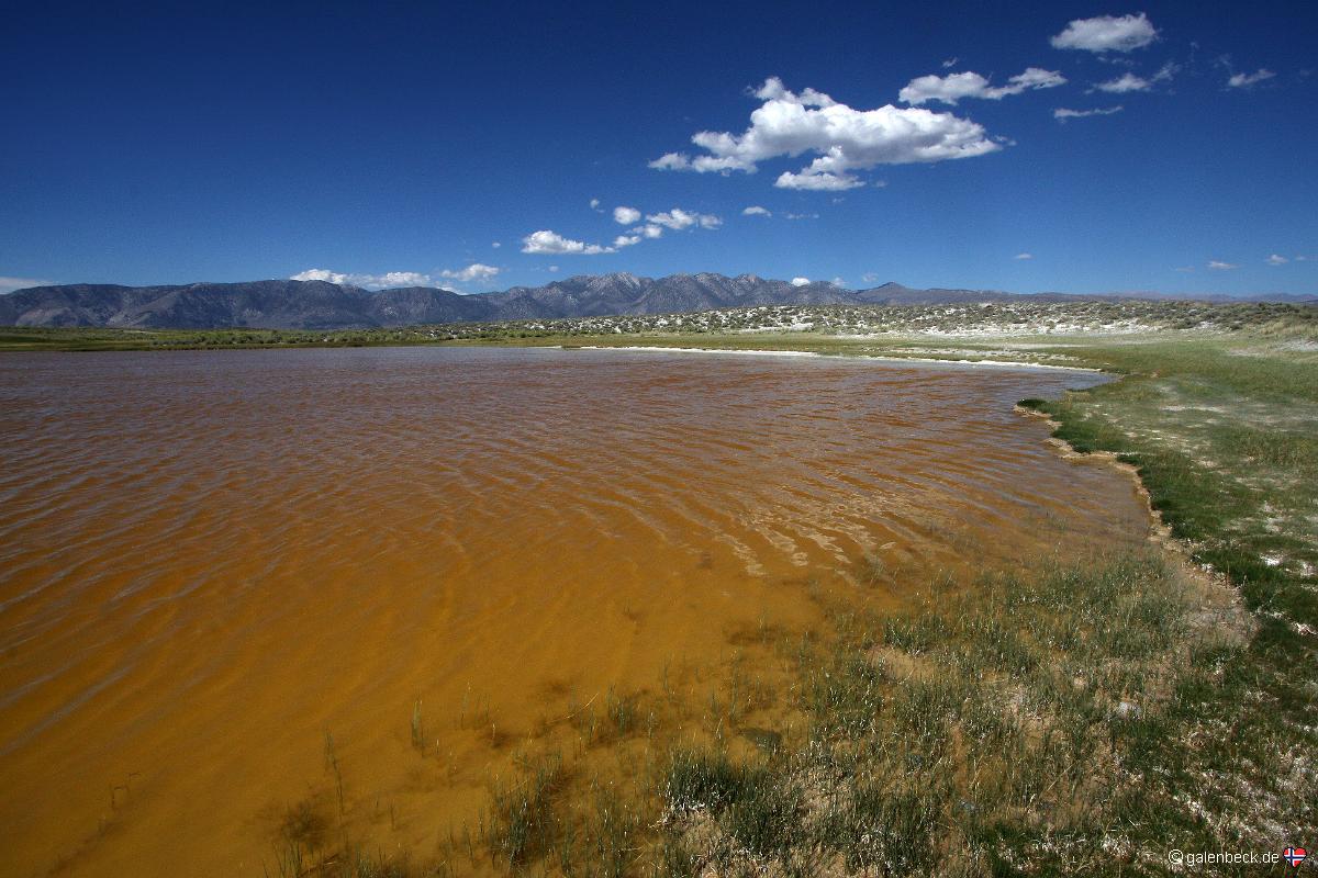 Alkali Pond