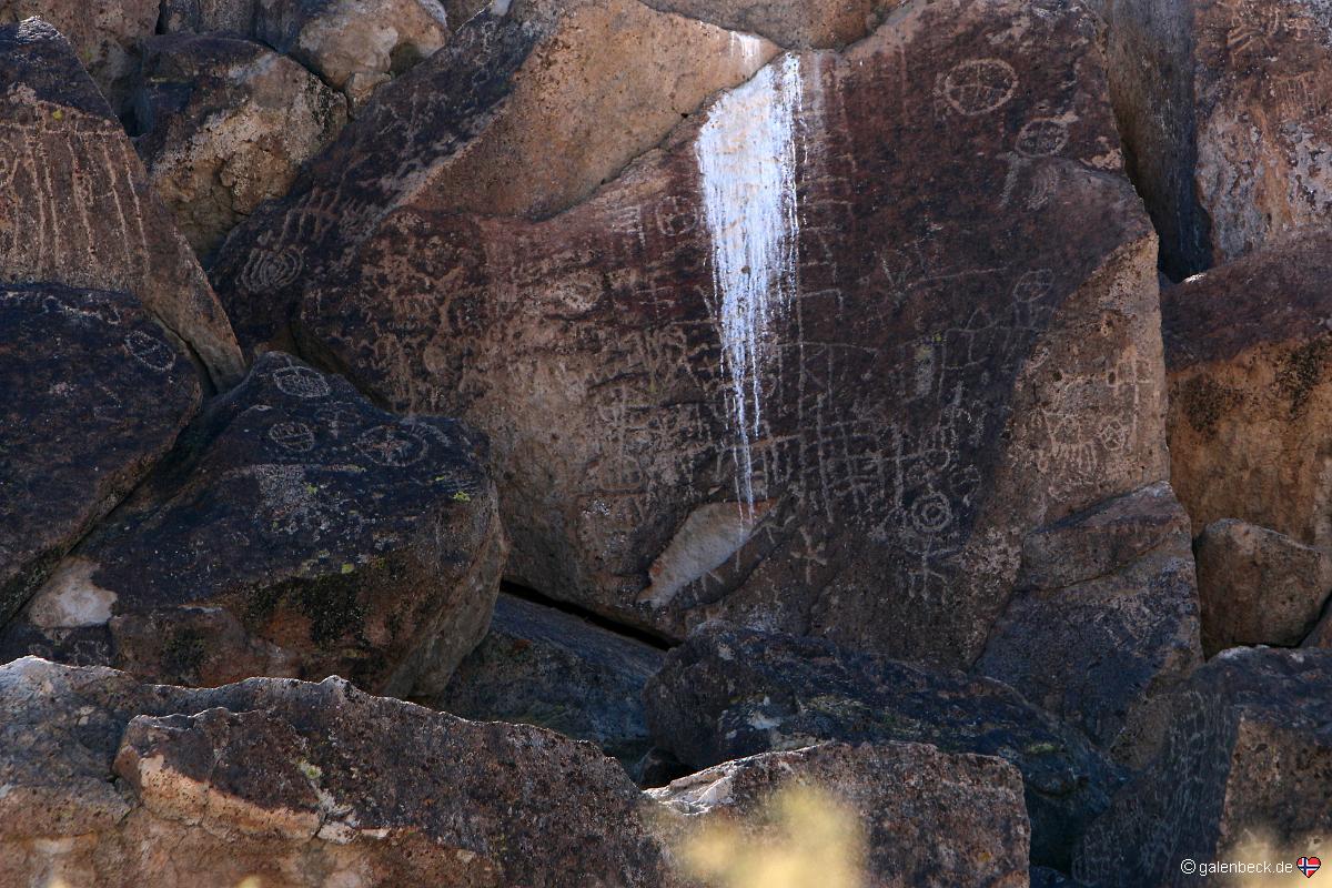Red Canyon Petroglyphs
