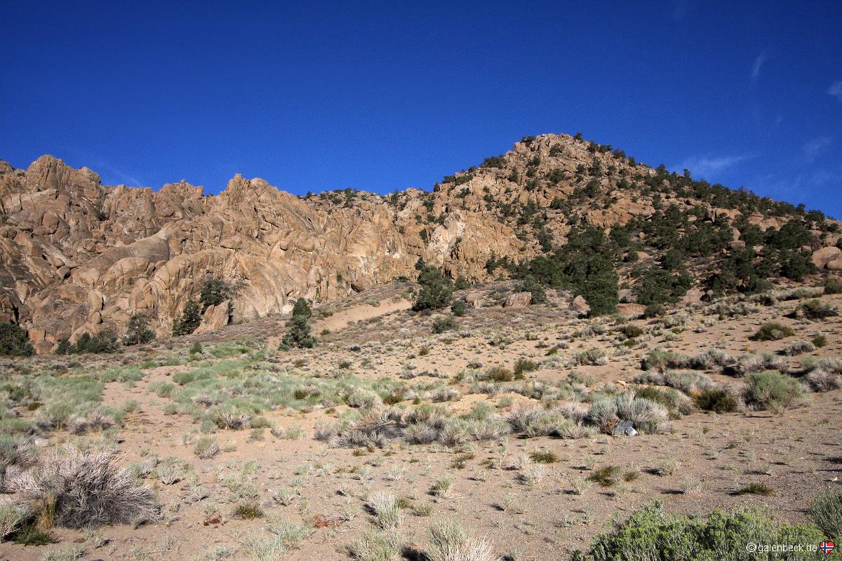 Benton Hills