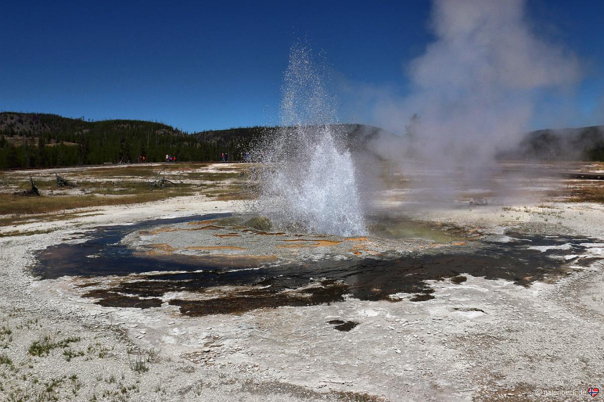Yellowstone National Park