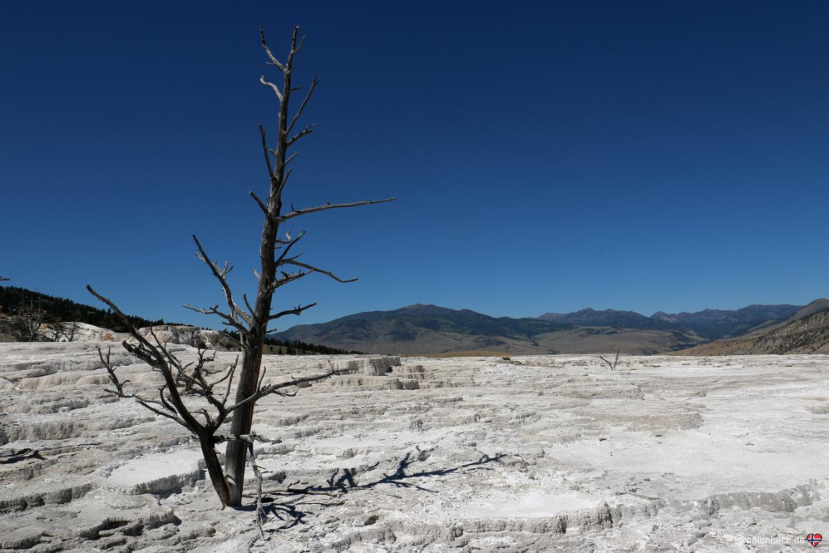 Yellowstone National Park