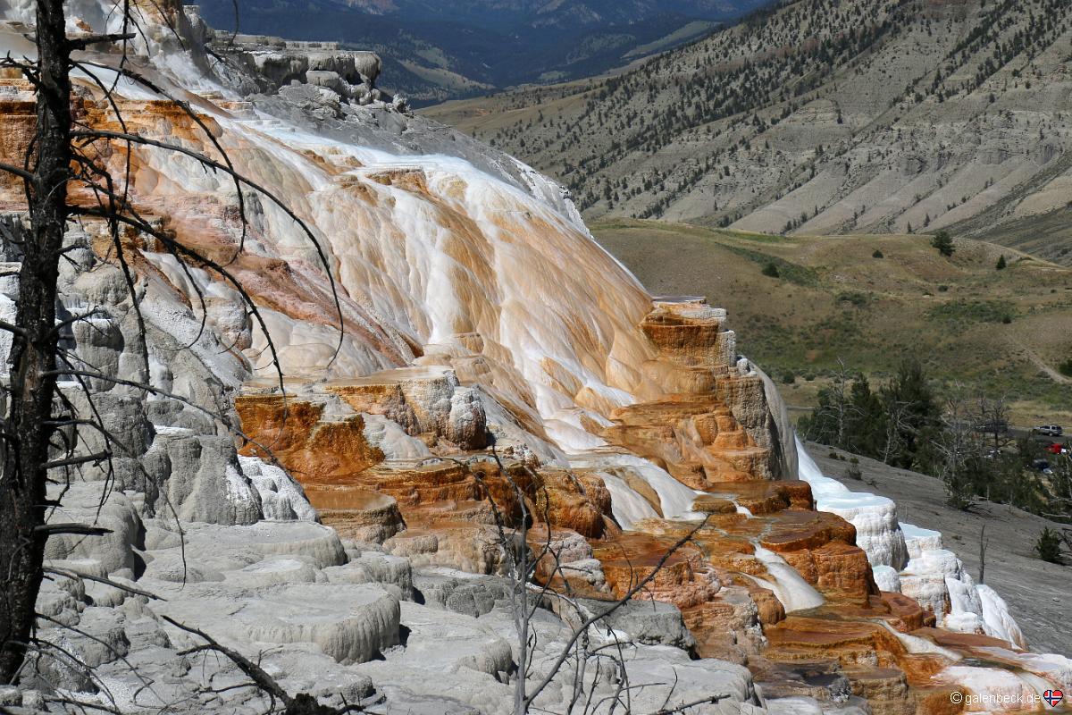 Yellowstone National Park