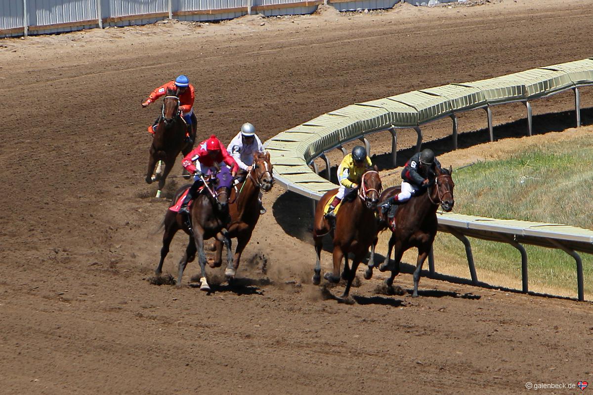 Montana State Fair