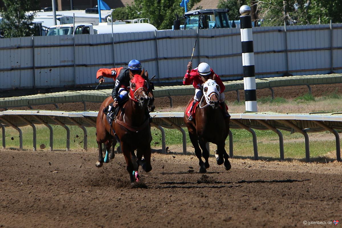 Montana State Fair