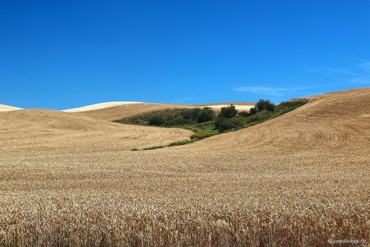 Palouse