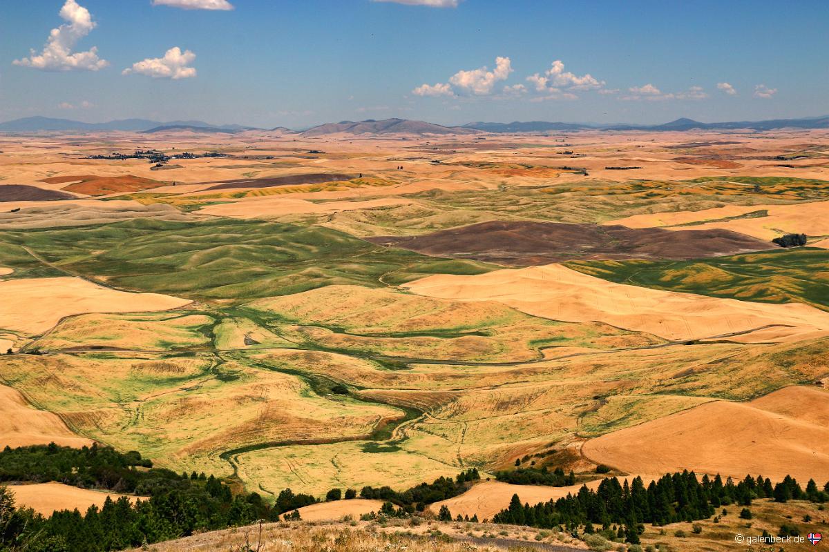 Steptoe Butte State Park