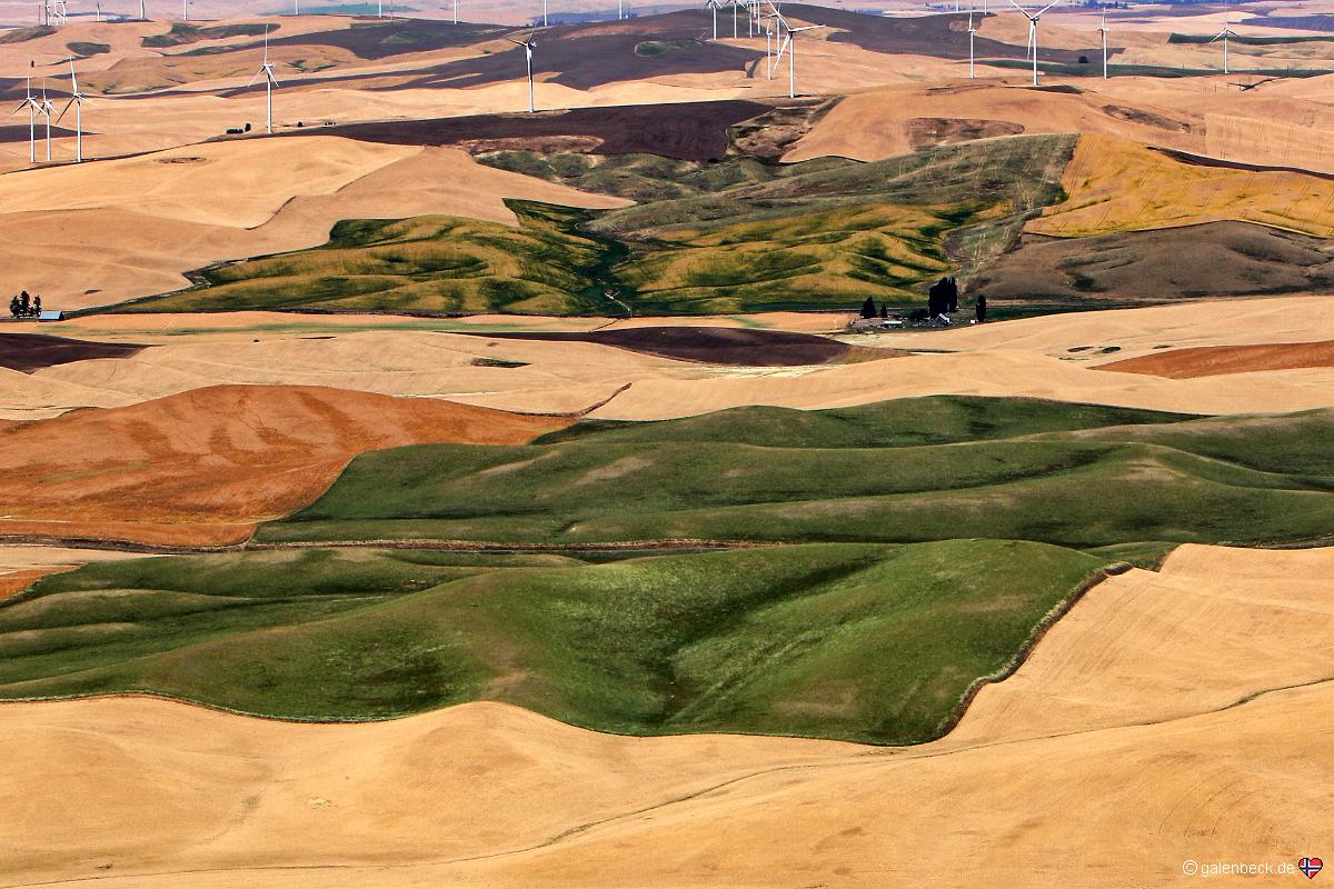 Steptoe Butte State Park