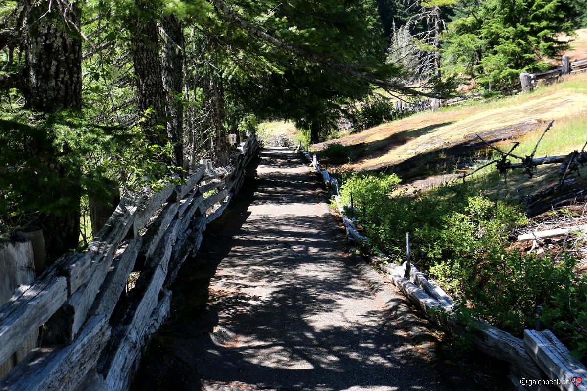 Mount Rainier National Park