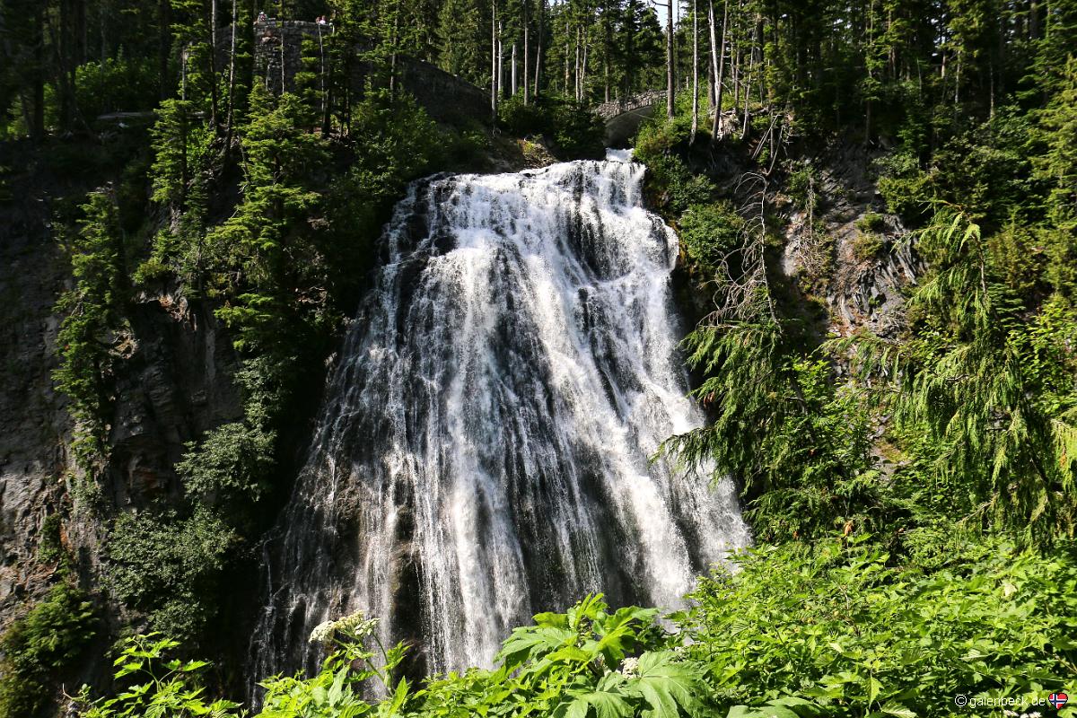 Mount Rainier National Park