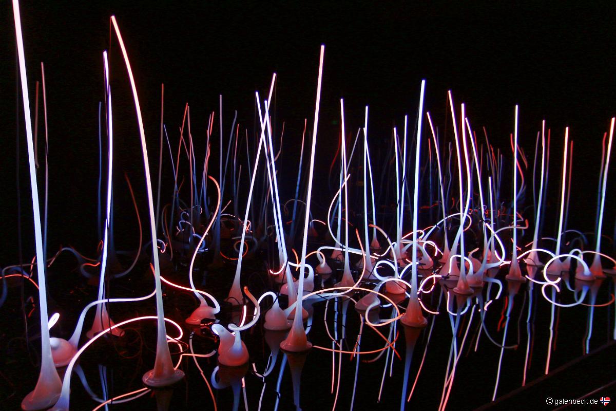 Chihuly Garden and Glass