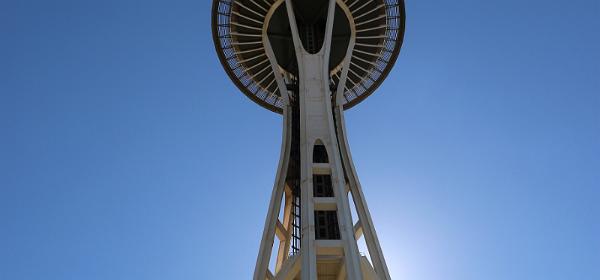 81