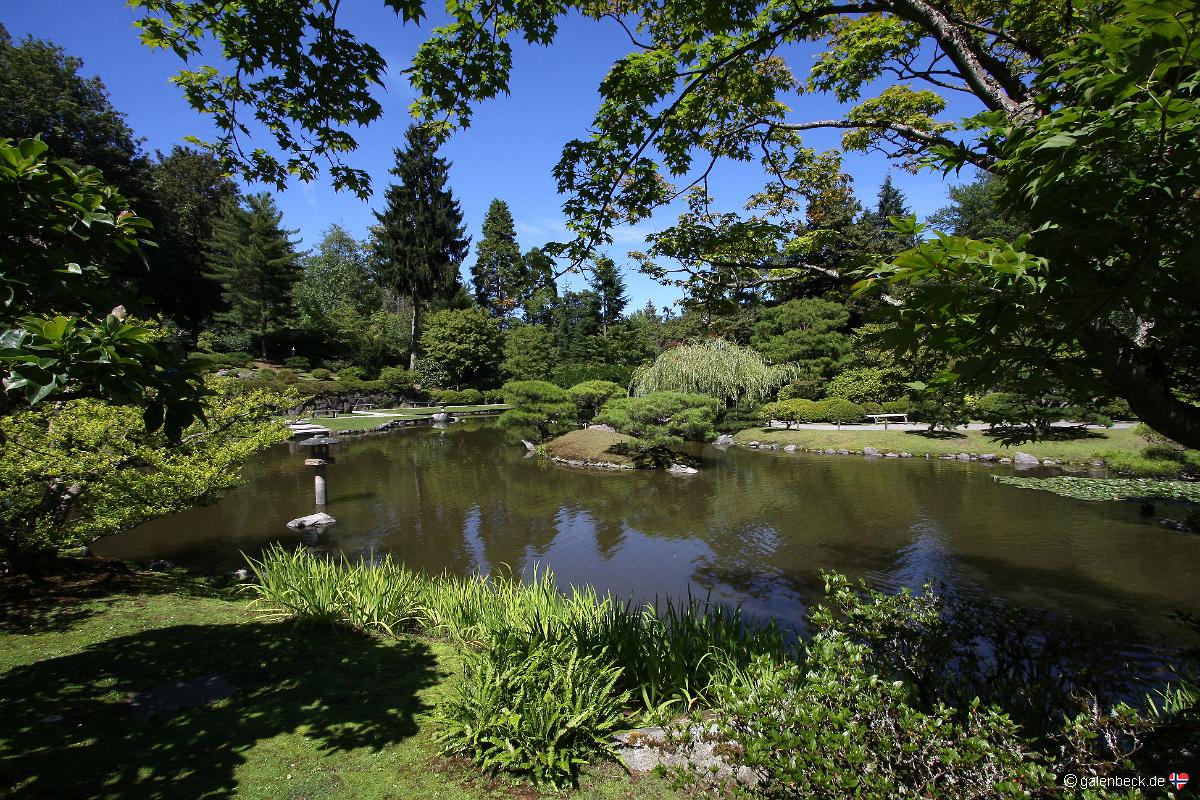 Japanese Garden