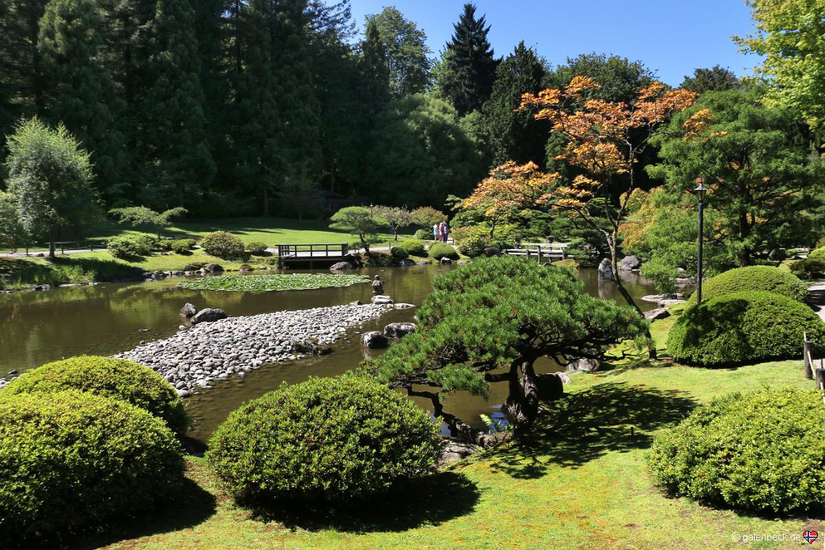 Japanese Garden