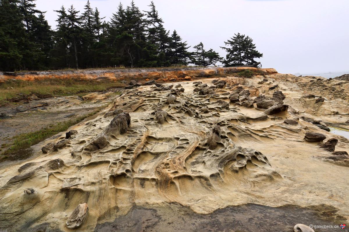 Shore Acres State Park