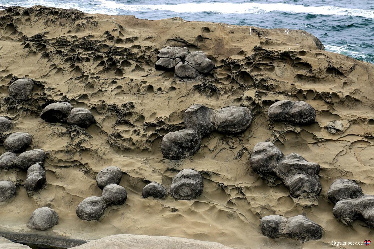 Shore Acres State Park