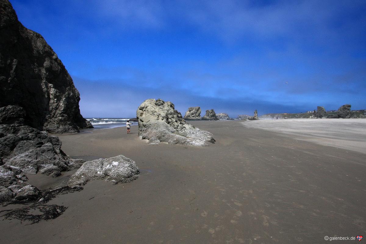 Face Rock Wayside Bandon