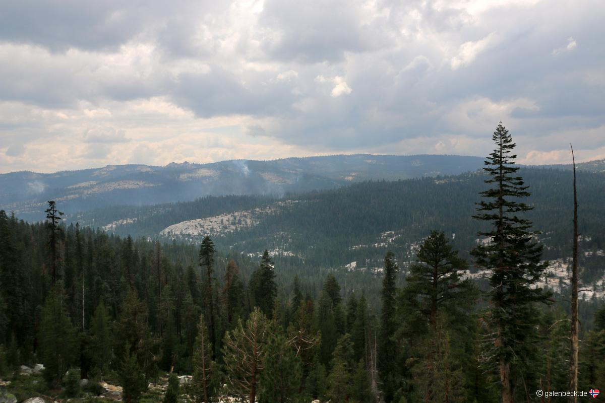 Yosemite National Park