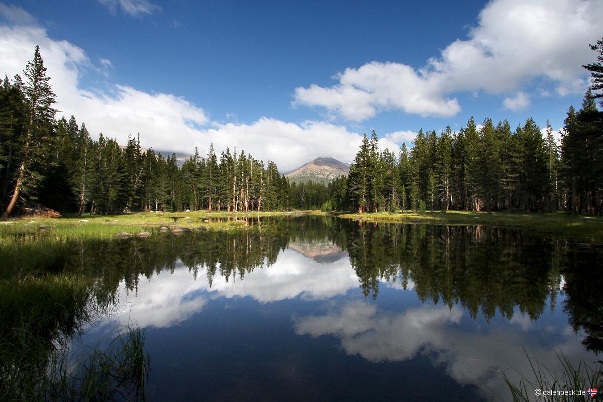Yosemite National Park