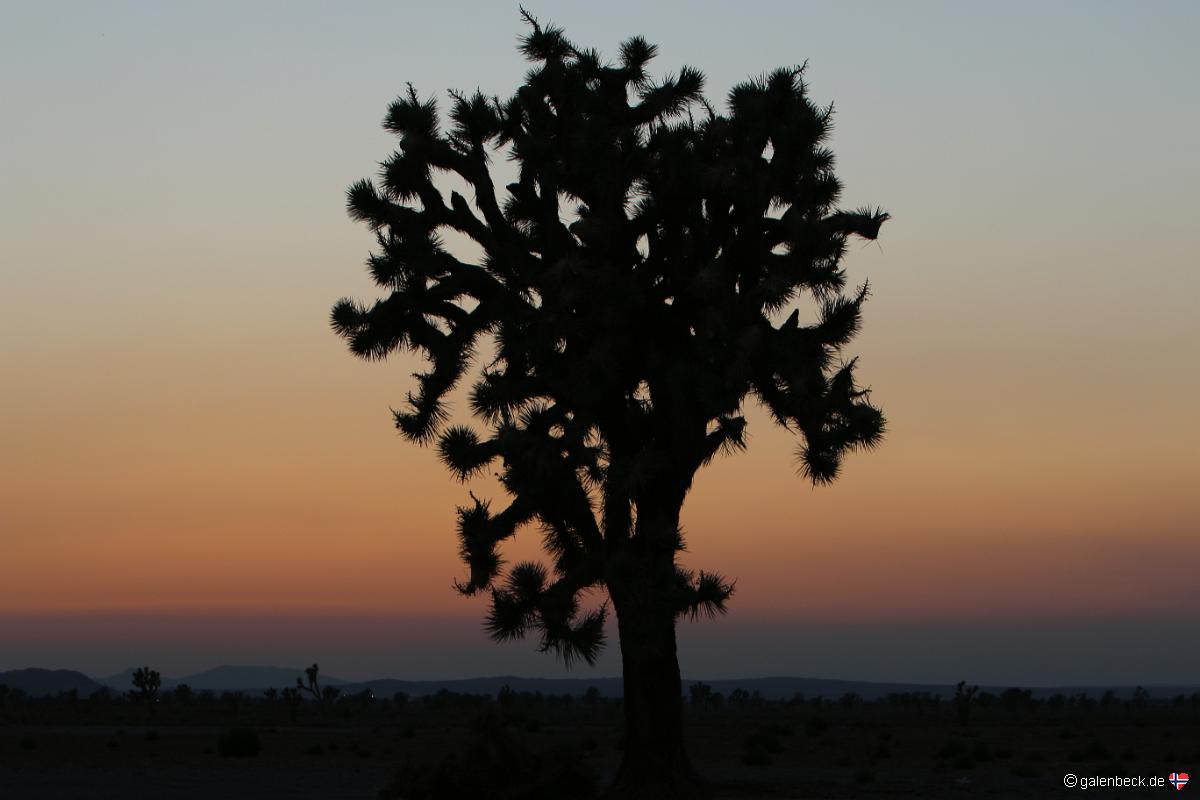 El Mirage Dry Lake