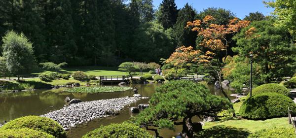 Japanese Garden
