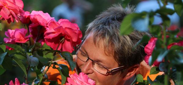 Portland Rose Gardens