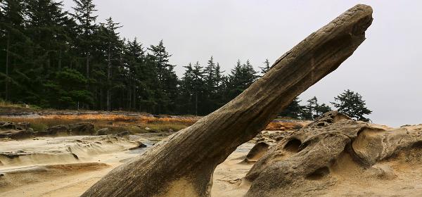 Shore Acres State Park