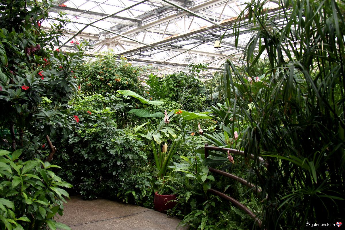 Butterfly Pavilion