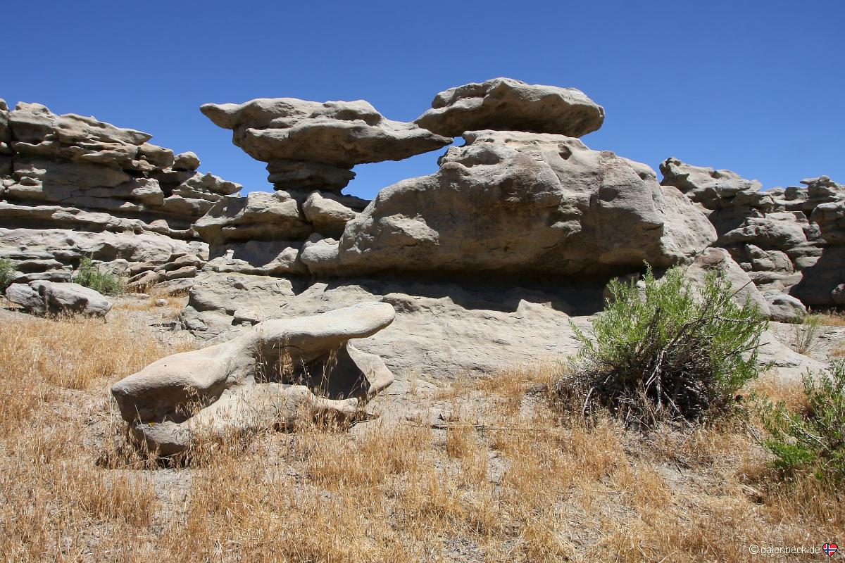 Devils Playground