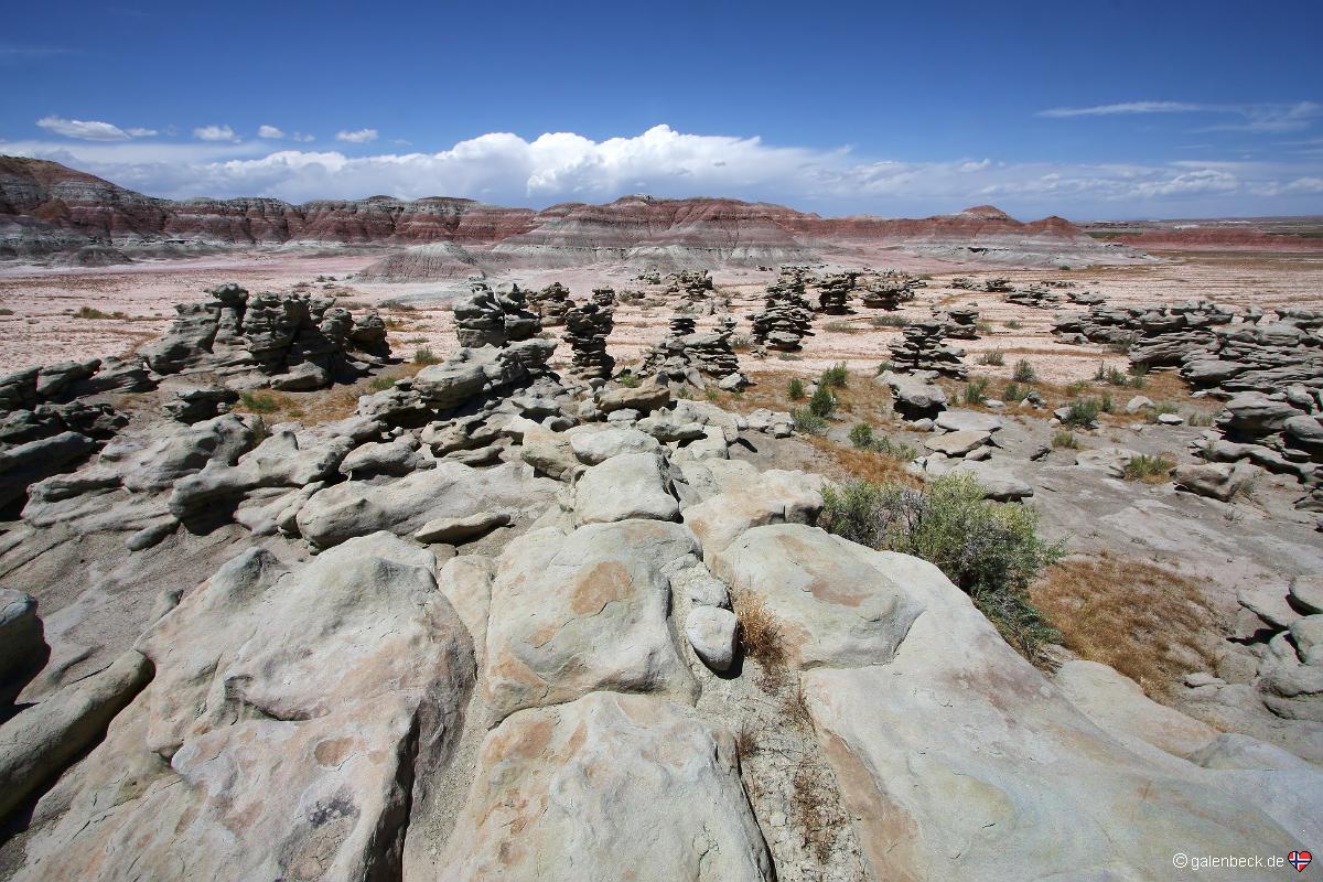 Devils Playground