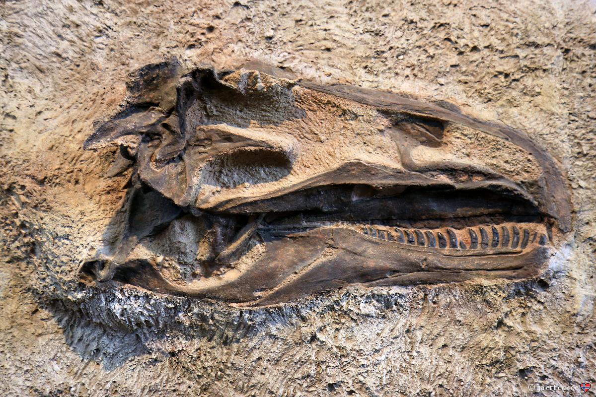 Dinosaur National Monument Fossil Bone Quarry Area