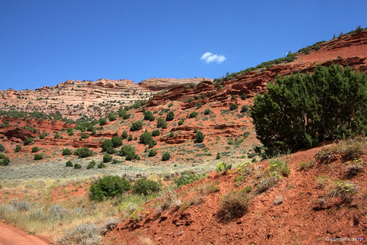 Red Canyon Wildlife Habitat Management Area