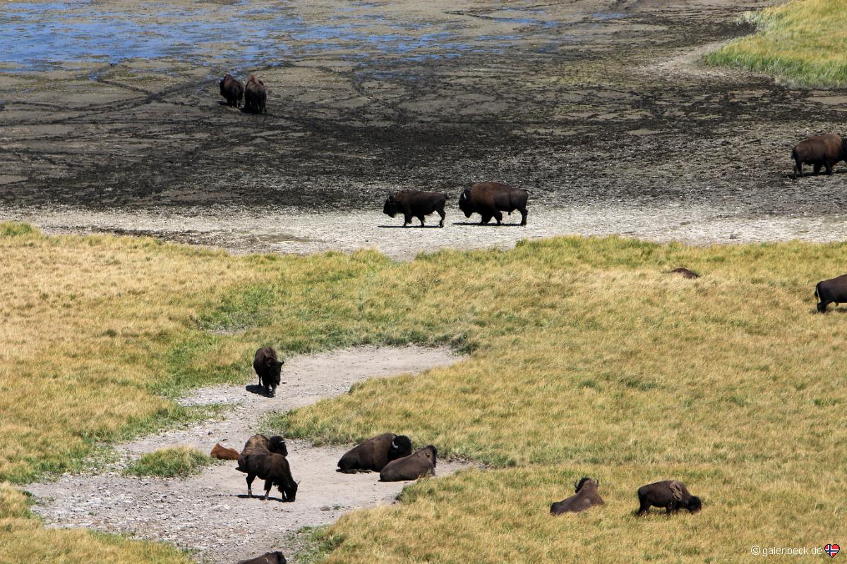 Yellowstone National Park