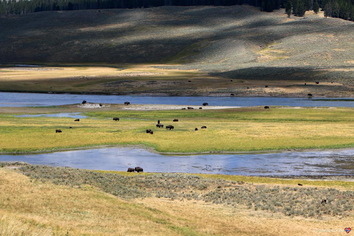 Yellowstone National Park