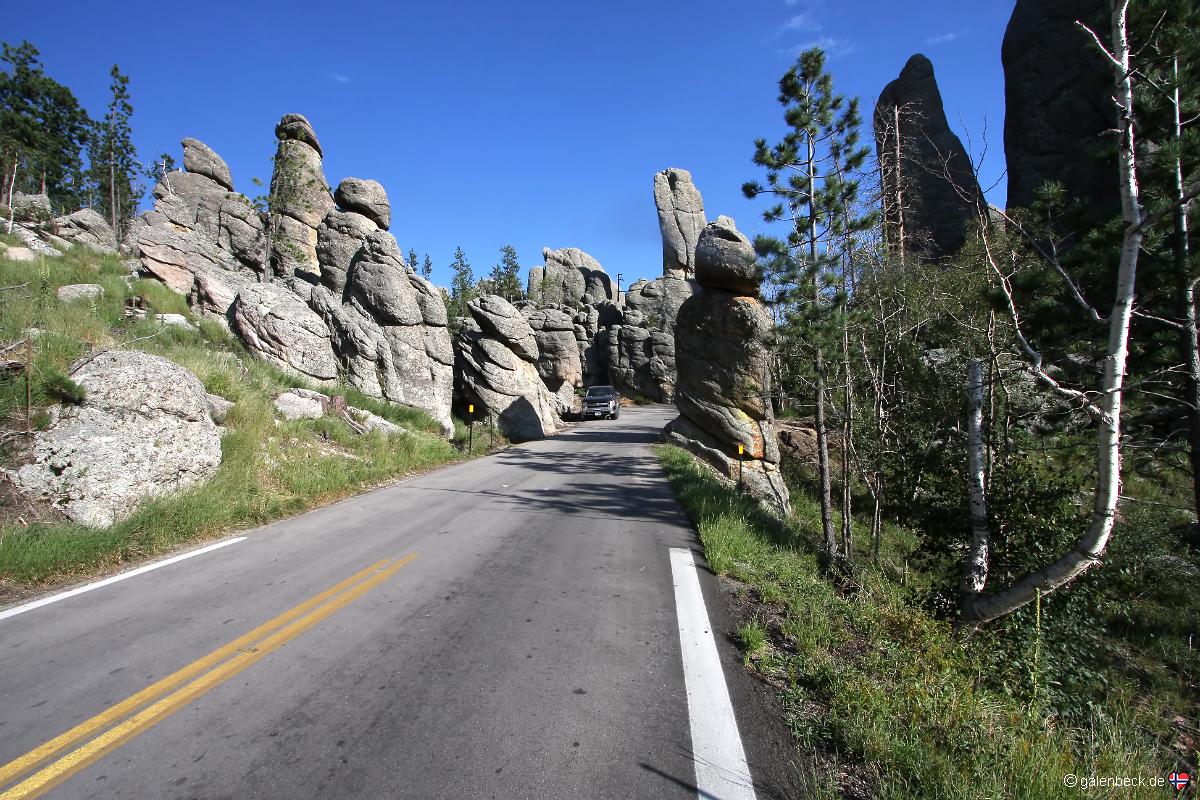 Custer State Park, Needles Highway