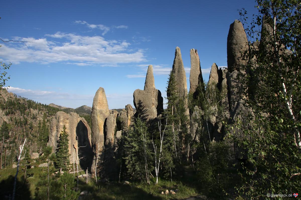 Custer State Park, Needles Highway