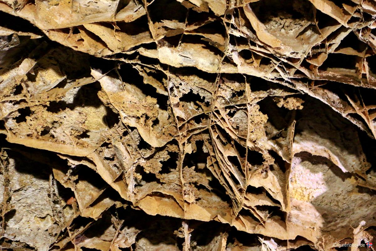 Wind Cave National Park