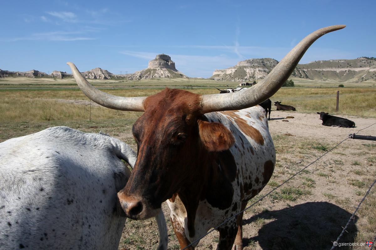 Farm & Ranch Museum
