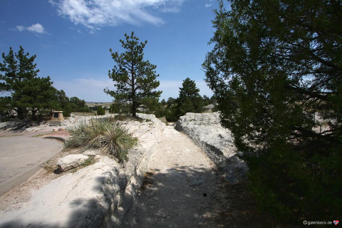 Oregon Trail Ruts